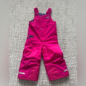 Patagonia Toddler Snow Bib Overalls